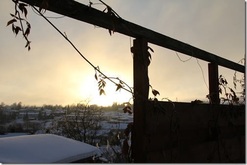 IMG_0150 IMG_0150