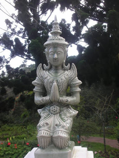 DSCN4368.JPG