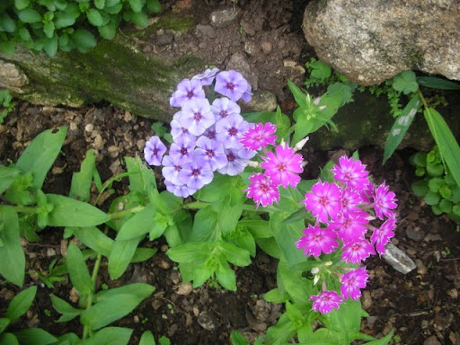 DSCN4375.JPG