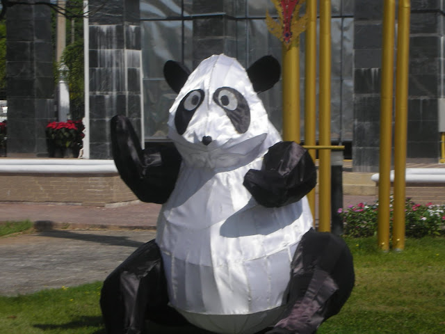 DSCN4741.JPG