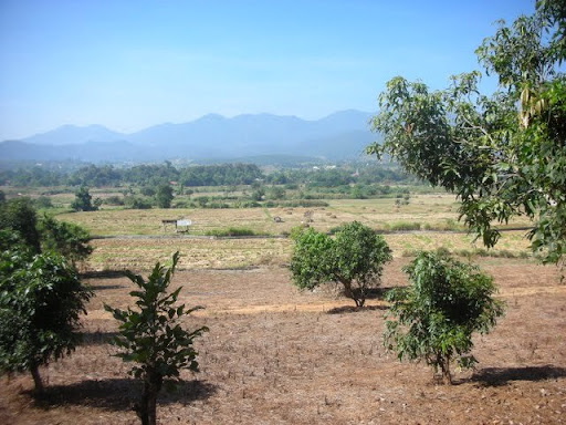 DSCN4490.JPG