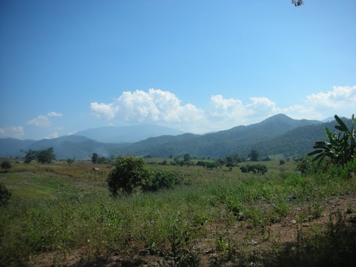 DSCN4510.JPG