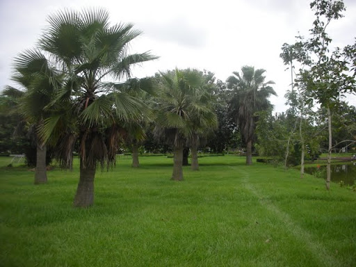 DSCN4998.JPG