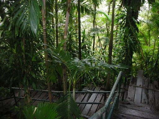 DSCN5013.JPG