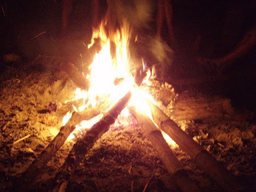 P1010060.JPG