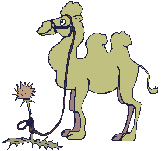 [kameel[2].gif]