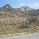 IMG_0173.JPG