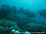 IMG_4082.jpg