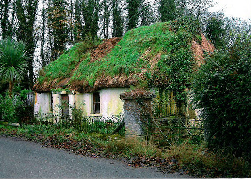 [Image: Ballinanima+Thatch+3.jpg]