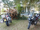 P1010326.JPG