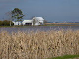 P1050175.JPG