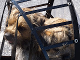 P1050390.JPG