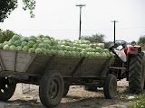 IMG_0457.JPG