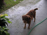 PICT0072.JPG