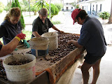 IMG_0942.JPG