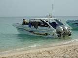 P1000313.JPG