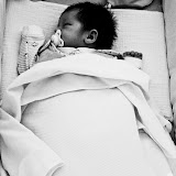 IMGP0214-1.jpg