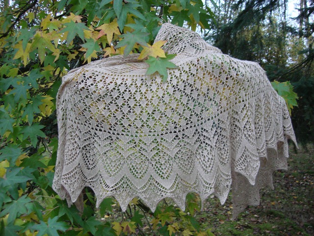 [DSC07587[2].jpg]