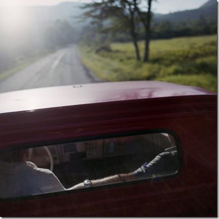 Running Errands by Cig Harvey Running Errands by Cig Harvey