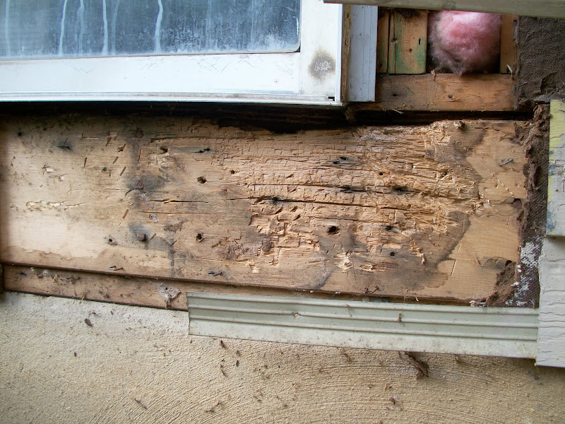 Rotten Bottom Plate And Subfloor Around Exterior Door