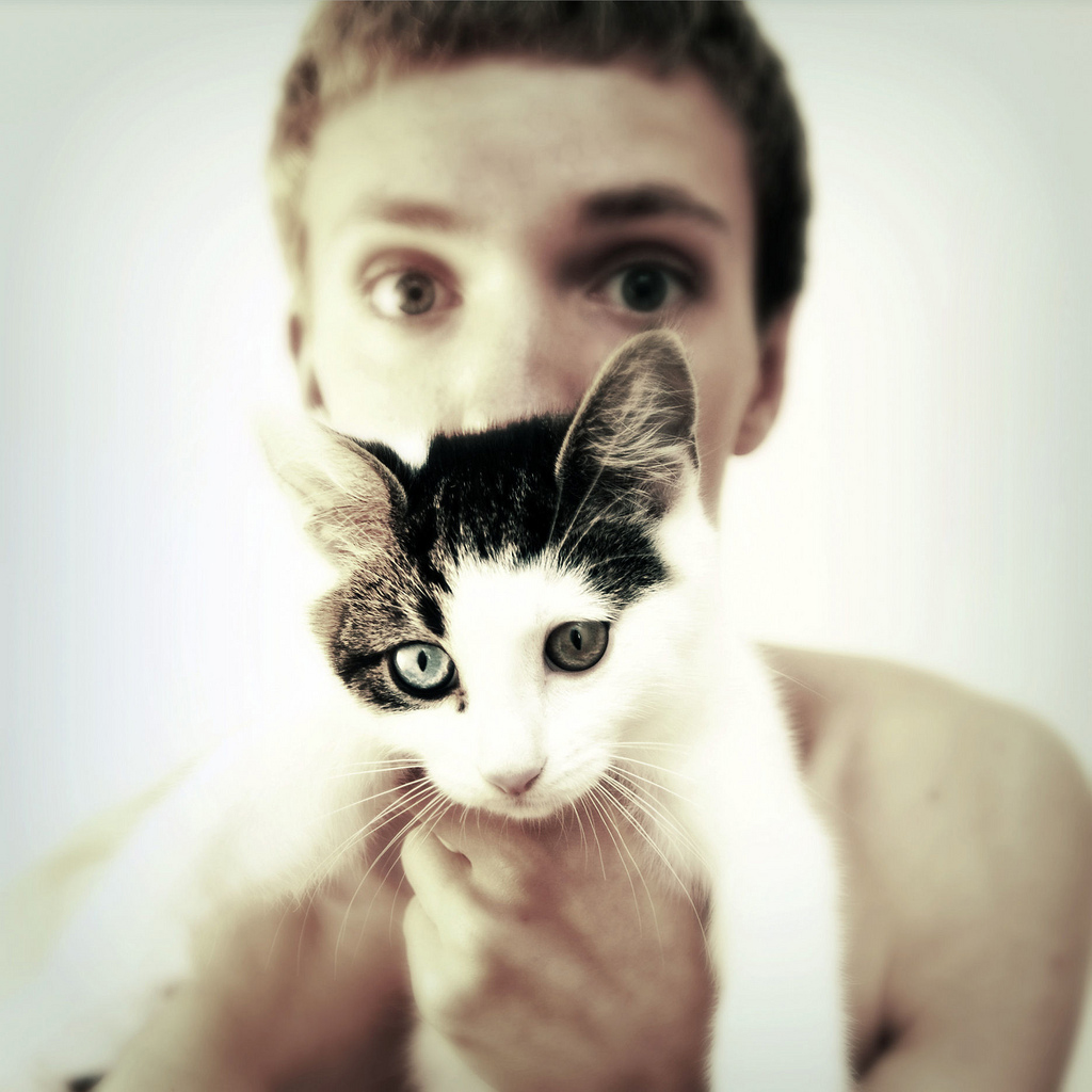 Cat Heterochromia