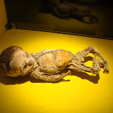 Musée de la momie de Guanajuato