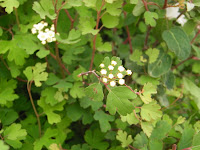 RIMG0427.JPG