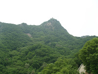 SNV14475.JPG