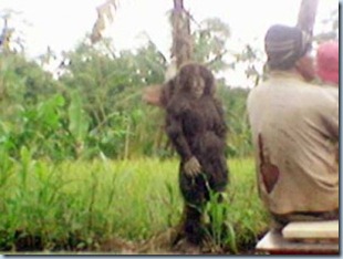 10 Hantu terpopuler di indonesia - Video Lucu Foto Unik