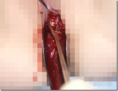 www.zonaunik.com (18) www.zonaunik.com (18)