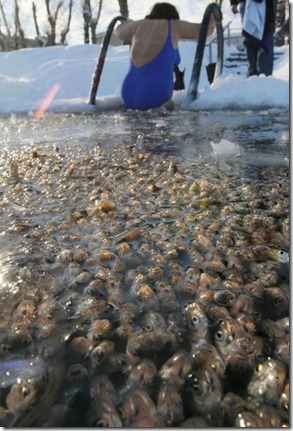 Russia Fish