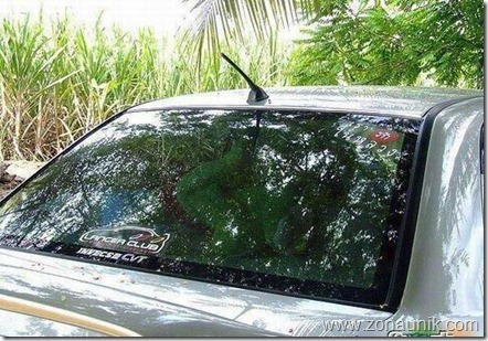 Foto-foto pasangan yang tengah kasmaran sedang ML diatas Mobil yang