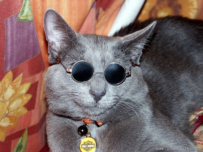 [12[1].jpg]