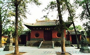 amazingcoolawesomeincredibleShaolinKungFuChinesemartialartsskillphotos