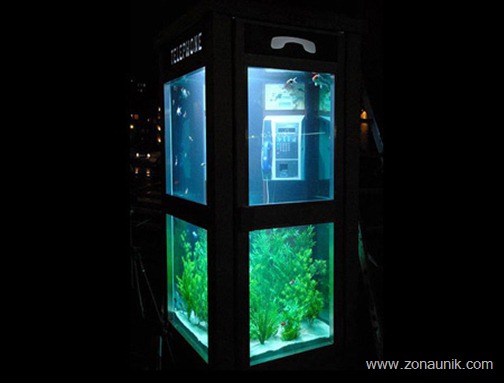 aquarium05