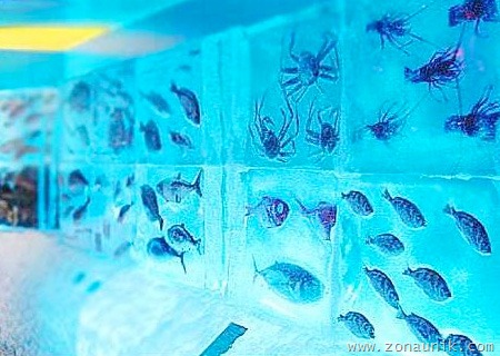 [iceaqua04[2].jpg]