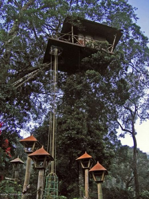 [Rumah pohon (6)[2].jpg]