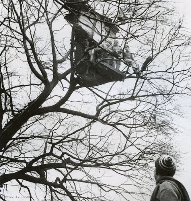 [Rumah-pohon-172.jpg]