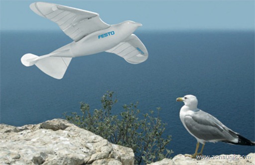 bird02
