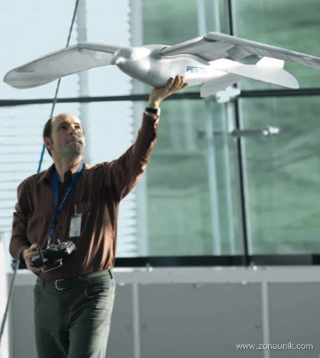 [bird063.jpg]
