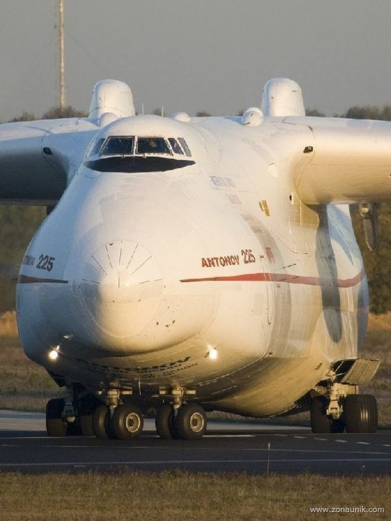 [an-225162.jpg]