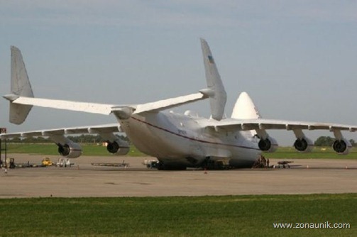 an-22519