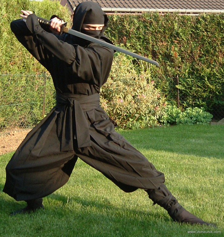 [ninja[4].jpg]