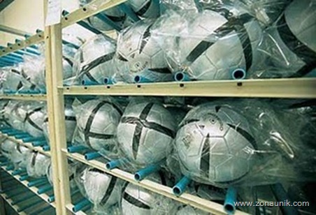 bola sepak 24