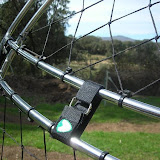 VenomPics3 018pic.JPG