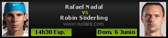 Rafael Nadal vs Robin Soderling en vivo