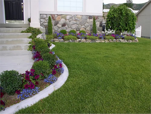 [Garden072[4].jpg]