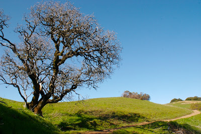 Russian Ridge