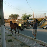 מילואים יולי 2009