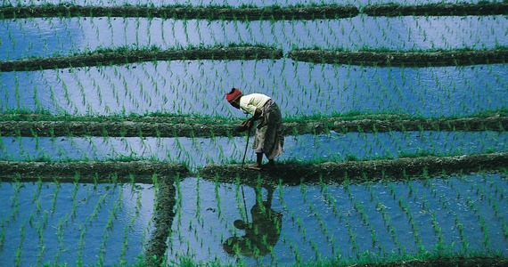 [Bali (1)[3].jpg]